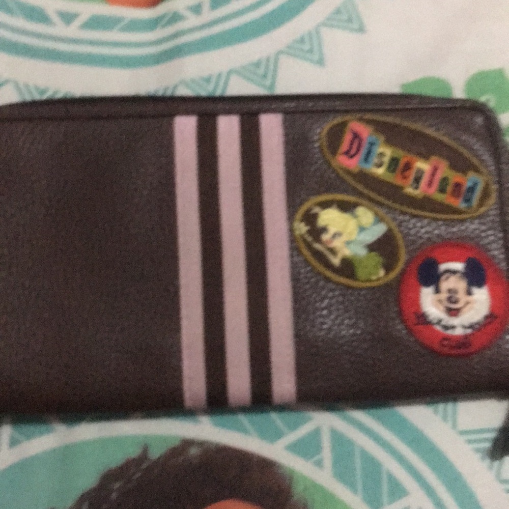 Cute Disneyland Resort Bag and Wallet Set.